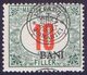 ROMANIA - HUNGARY - Neurumänien   LOT -**MNH - 1919 - Local Post Stamps