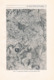Delcampe - A102 706 Oberhummer ältesten Karten Westalpen Artikel Von 1908 !! - Mapamundis