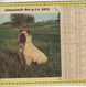 Almanach Du Facteur, Calendrier De La Poste,1973, COTE D'OR, Chien, Chaton... - Grand Format : 1971-80