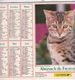 Almanach Du Facteur, Calendrier De La Poste,1994, COTE D'OR, Chats Du Bengale, Bichons Bolonais - Grand Format : 1991-00