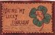 Carte En Cuir Véritable- You Are My Lucky Four Leave - Envoyée De New-York à Bière (Vaud) - 1906 - Trèfle à Quatre - Bière