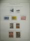 Delcampe - O.N.U. - UNITED NATIONS - NEW YORK - GINEVRA - VIENNA - ADVANCED COLLECTION FROM 1951 TO 1984  MNH** - Collections, Lots & Séries