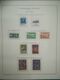 Delcampe - O.N.U. - UNITED NATIONS - NEW YORK - GINEVRA - VIENNA - ADVANCED COLLECTION FROM 1951 TO 1984  MNH** - Lots & Serien