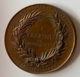 Médaille Bronze. Professeur J.S.G. Nypels. Criminalliste. Cinquante Années De Professorat. Liège 1835-1885. E. Geerts. - Professionali / Di Società