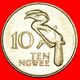 · GREAT BRITAIN: ZAMBIA ★ 10 NGWEE 1987 BIRD! LOW START ★ NO RESERVE! - Zambia