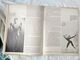 Dance Across America  Ballet Dance Magazine 1984 Art Stone 138 Pag #16 - Divertimento