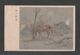 JAPAN WWII Military Old Battlefield Horse Picture Postcard Central China WW2 MANCHURIA CHINE MANDCHOUKOUO JAPON GIAPPONE - 1943-45 Shanghai & Nankin