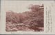 CARTE PHOTO Bettws Y Coed (1905) - Zu Identifizieren