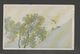 JAPAN WWII Military River Side Picture Postcard NORTH CHINA WW2 MANCHURIA CHINE MANDCHOUKOUO JAPON GIAPPONE - 1941-45 Northern China