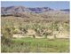 (K 26) Australia - NT - MacDonnell Ranges - Alice Springs