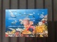 Thailand . Block Marine Life 2001 MNH. - Thailand