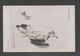 JAPAN WWII Military Tianjin Picture Postcard SOUTH CHINA WW2 MANCHURIA CHINE MANDCHOUKOUO JAPON GIAPPONE - 1943-45 Shanghai & Nankin