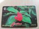 CAYMAN ISLANDS  CI $ 10,-  CAY-94B  CONTROL NR 94CCIB   BROADLEAF FLOWER      Fine Used Card  ** 3102** - Kaimaninseln (Cayman I.)