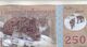 Delcampe - Arctic Territories 25, 50, 100,250, 500  Dollar, Polymer Banknote Currency, 2013-2017 UNC - Other & Unclassified