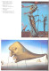 DALI AUTOR IGNACIO GOMEZ DE LIAÑO EDICIONES POLIGRAFA 1992 TC11303 A6C1 - Andere & Zonder Classificatie