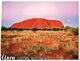 (M 8) Australia - NT - Uluru (CAU L 014A) - Uluru & The Olgas