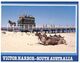 (M 20) Australia - SA - Victor Harbour (horse Drawn Carriage & Camel) - Victor Harbor