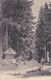 SUISSE,SWITZERLAND,SVIZZERA,HELVETIA,SWISS,SCHWEIZ ,VALAIS,CHAMPERY,1907,TIMBRE,FORET - Champéry