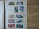 Delcampe - LOT DE + 170 TIMBRES DE NOUVELLE-CALEDONIE - Collections, Lots & Series