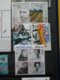 Delcampe - Netherlands 1980-2000: MNH Collection In Stockbook - Collezioni (in Album)