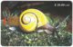 CUBA A-289 Chip Etecsa - Animal, Snail - Used - Cuba