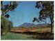 (N 23) Australia - SA - Flinders Ranges - Flinders Ranges