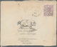 Delcampe - Victoria: 1884/89 (ca.), 2d Violet QV Used On Six Cover Fronts All With Beautiful Hand-illustrated A - Brieven En Documenten