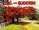(Booklet 106) Australia - QLD - Bunderim (with Flowering Tree) Ginger Industry - Sunshine Coast