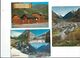 Delcampe - 65  Lot Cauterets Pont D'espagne, Lac De Gaude  Lot 38 Cartes  Tout Scanné - Cauterets