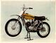 Ancillotti Scarab Cr 50.  24*17cm+-  Motards Moto MOTOCROSS MOTORCYCLE  Doug Douglas J Jackson Archive Of Motorcycles - Auto's