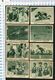 27 Stuks : Olympisch Spelen LA - Los Angeles 1932.-   Used , 2 Scans For Condition. (Originalscan !! ) - Trading Cards