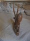 Vintage - Statuette En Bois D'olivier - Antilope Saïga - Animales