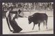 CPA Pyrénées Orientales 66 Perpignan Taureau Corrida Tauromachie Carte Photo Non Circulé Voir Scan Du Dos - Perpignan