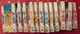 Lot De 12 Tomes De "Love Hina". Ken Akamatsu. Pika édition 2002-04. - Mangas Version Francesa