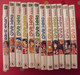 Lot De 12 Tomes De "Love Hina". Ken Akamatsu. Pika édition 2002-04. - Mangas [french Edition]