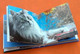 Les Chats  1001 Photos  (2006)    463 Pages Editions Solar - Animaux