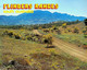 (Booklet 110) Australia - SA - Flinders Ranges - Flinders Ranges