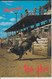 WYOMING - Rodeo In SHERIDAN;  Ya Hoo,  Used - Sheridan