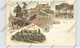 0-5812 WALTERSHAUSEN - LANGENHAIN, Lithographie 1899, Gasthof, Schloß Reinhardsbrunn, Schloß Tenneberg - Waltershausen