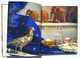 Inde : Royal Cuisine Of India - Dharmendar Kanwar, 2008 - Asian