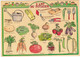 Agriculture : Cultures : L'Art Du Potager : ( Fleurs, Plantes & Arbres ) - C.p.s.m. - M. - Grand Format - Illustrateur - - Culture