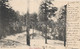 OLD  POSTCARD - CIPRO - CYPRUS - STRADA DI TROODOS - VIAGGIATA DA LIMASSOL 1902 -  T109 - Cyprus