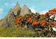 ** Lot De 5 Cartes ** ILE MAURICE Mauritius - Flamboyant Flame Tree Bome Boom Albero árbol - CPSM CPM GF Afrique Africa - Mauritius