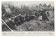 YPRES SOLDATS BELGES EN ACTION - CARTE ECRITE DE FORT DE FRANCE PAR FRITSCH ARTILLERIE COLONIALE POUR PAU EN 1915 CPA - Sonstige & Ohne Zuordnung