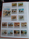 Delcampe - 6 Nette Albums ; 6 Albums Soigné ; 6 Nice Albums; 6 Schone Albums . Beaucoup Des Timbres / Many Many Stamps - Equatorial Guinea