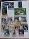 Delcampe - 6 Nette Albums ; 6 Albums Soigné ; 6 Nice Albums; 6 Schone Albums . Beaucoup Des Timbres / Many Many Stamps - Equatorial Guinea