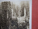 RPPC  Nolg Boundry Line Between US & Canada  Bonners Ferry Idaho   Ref  4388 - Other & Unclassified