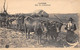 Non Localisé. Auvergne. Cantal       15    Le Labourage. Vaches Race Salers   M T I L 6234    (Voir Scan) - Autres & Non Classés