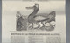 Affiche Feuille Volante  Chanson " La Poule Aux Oeufs D'or Des Aristos Ou Les Petits Républicains " 2 è République 1848 - Affiches