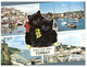 Delcampe - (P 24) Australia - Cat And Dog FDC + Mini-sheet + 2 Bonus Cat & Snow Leopard Postcard - Otros & Sin Clasificación